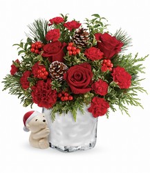 Send a Hug Winter Cuddles by Teleflora from Backstage Florist in Richardson, Texas